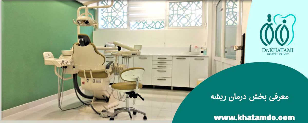 معرفی بخش درمان ریشه